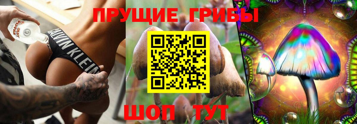 Дзержинск  Псилоцибиновые грибы Psilocybine cubensis  Псилоцибиновые грибы мицелий  Вход с VPN 